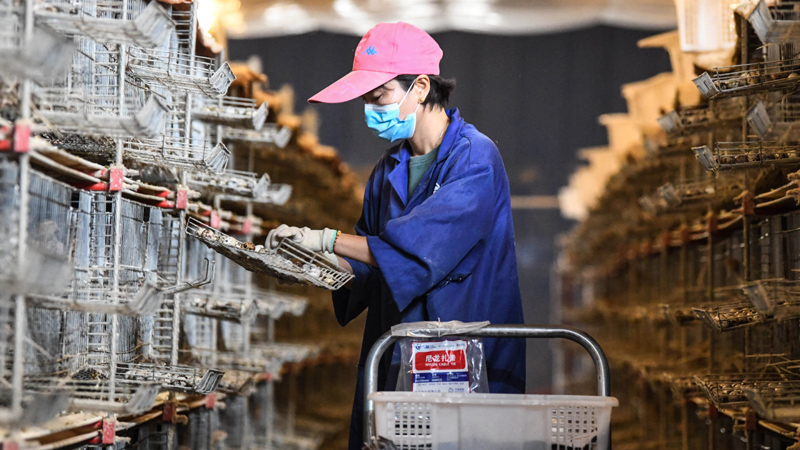 沿着必由之路夺取新的更大胜利 ——习近平总书记2022年全国两会重要讲话精神指引新时代新征程