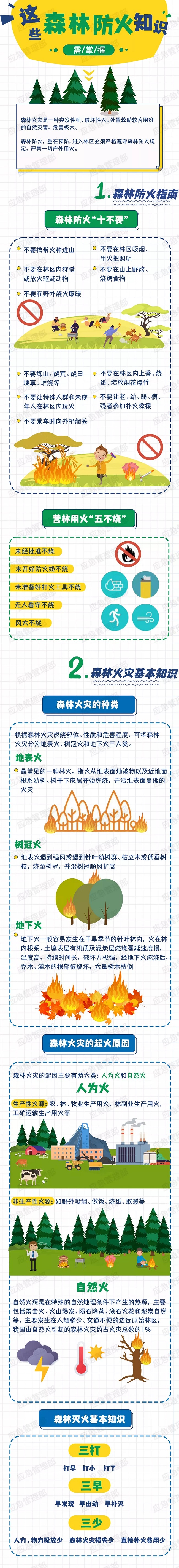 天干物燥，这些森林防火知识要掌握